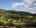 IMG_1528 copy